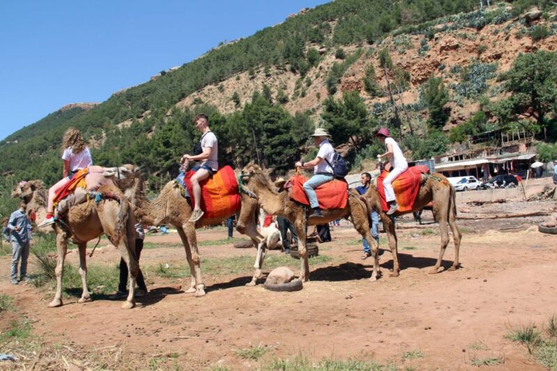 From Marrakech : Atlas Mountain, Berber Villages, Day Trip - Inclusions and Transportation