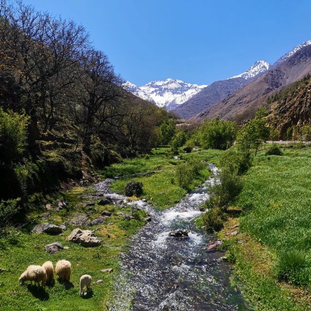 From Marrakech : Atlas Mountain, Berber Villages, Day Trip - Moroccan Cuisine and Experiences