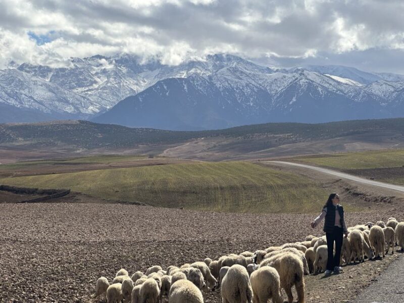 From Marrakech: Atlas Mountains 4-Day Hike With Hotels - Itinerary Highlights
