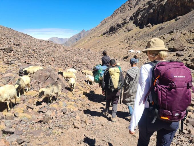 From Marrakech: Atlas Mountains 4-Day Hike With Hotels - Customer Reviews Snapshot