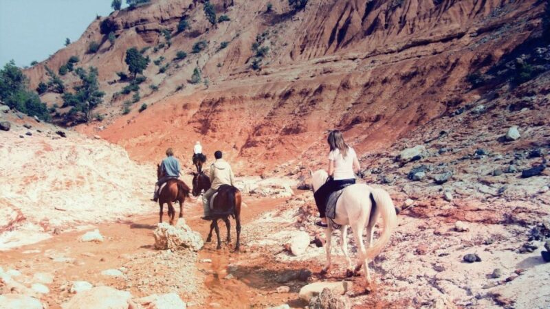 From Marrakech: Atlas Mountains 45-Minute Horseback Ride - Good To Know