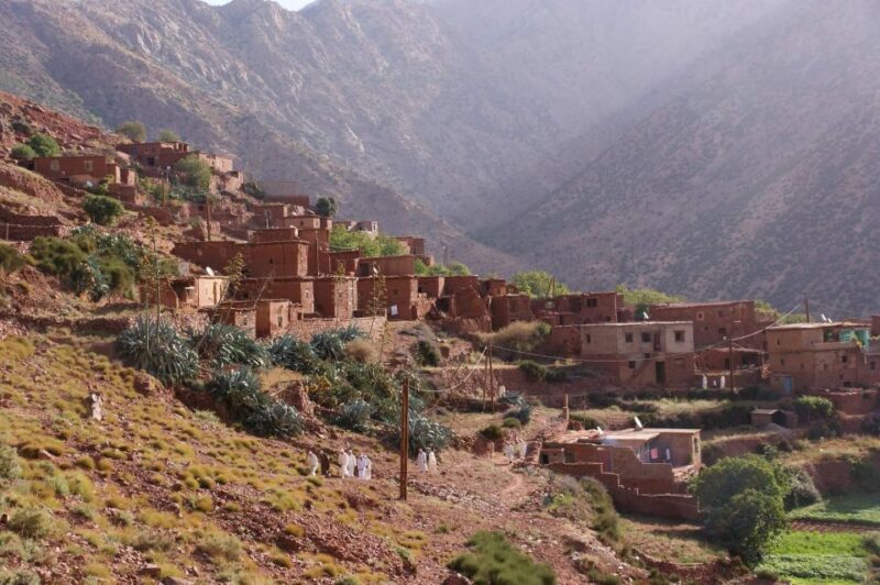 From Marrakech: Atlas Mountains 45-Minute Horseback Ride - Horses and Riding Equipment