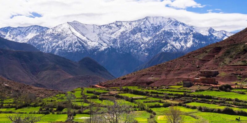 From Marrakech: Atlas Mountains and Agafay Desert Day Trip - Camel Ride in Breathtaking Agafay Desert