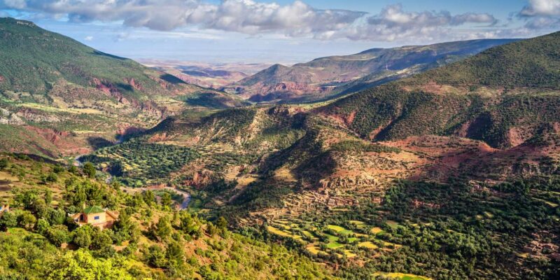 From Marrakech: Atlas Mountains and Agafay Desert Day Trip - Journey Through Ouled Mataa Bedouin Settlement