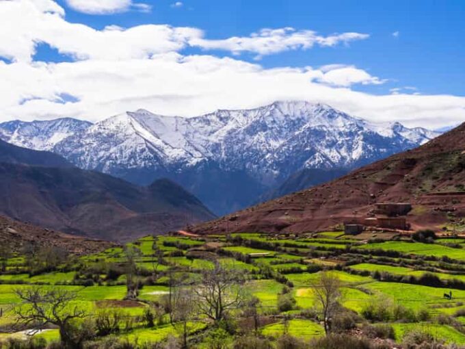 From Marrakech: Atlas Mountains and Agafay Desert Day Trip - Convenient Pickup and Drop-off Arrangements
