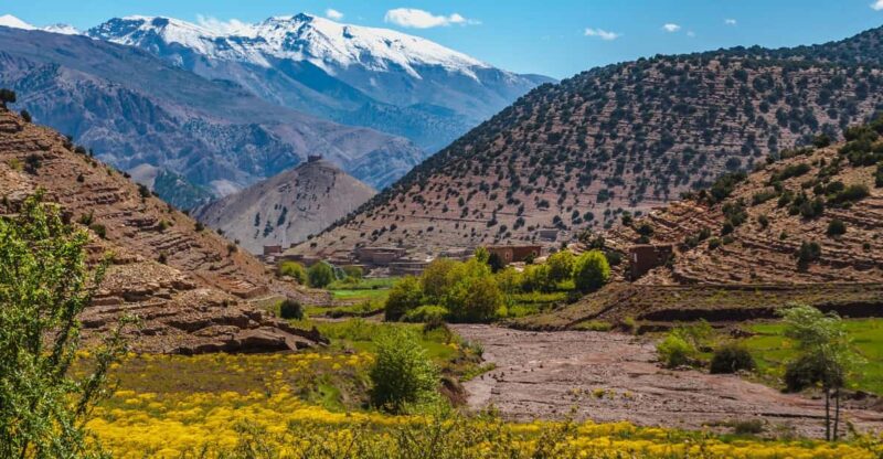 From Marrakech: Atlas Mountains and Agafay Desert Day Trip - Visit a Women-Managed Argan Co-op