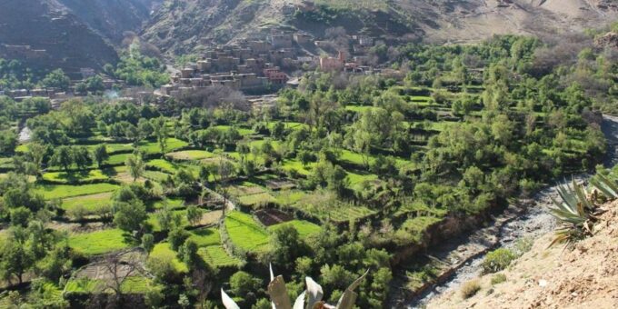 From Marrakech: Atlas Mountains and Agafay Desert Day Trip - What to Pack and Expect