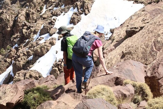From Marrakech: Atlas Mountains Talamrout Summit Day Hike & Trek - Traveler Testimonials