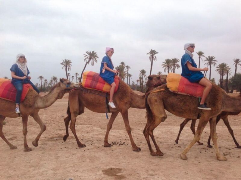 From Marrakech: Camel Ride, Quad Bike & Spa Full-Day Trip - Quad Biking Adventure