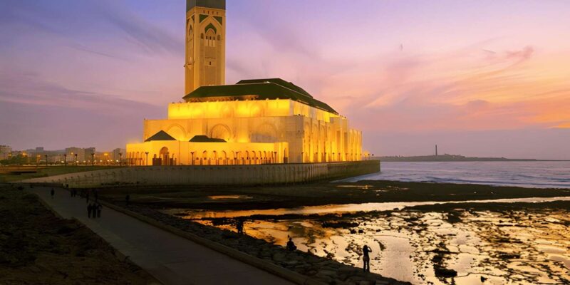From Marrakech: Casablanca Day Trip With Transfer - Customer Feedback