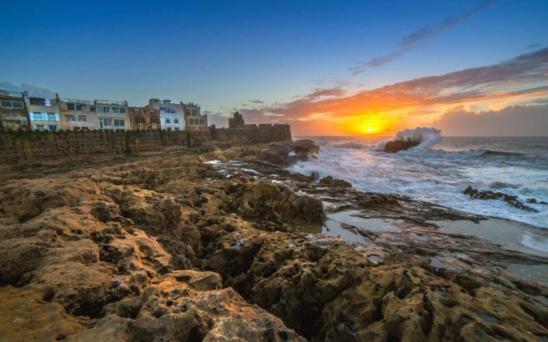 From Marrakech: Day Trip Essaouira Mogador - Local Markets and Shops