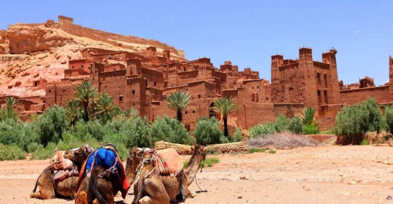 From Marrakech : Day Trip to Ait Benhaddou and Ouarzazate - Transportation and Comfort