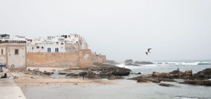 FROM MARRAKECH : DAY TRIP TO ESSAOUIRA - Practical Tips for Travelers
