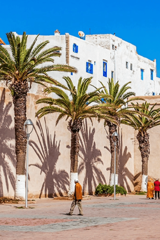 From Marrakech: Day Trip to Essaouira - Good To Know