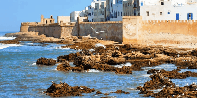 From Marrakech: Day Trip to Essaouira - Historic Port and Market
