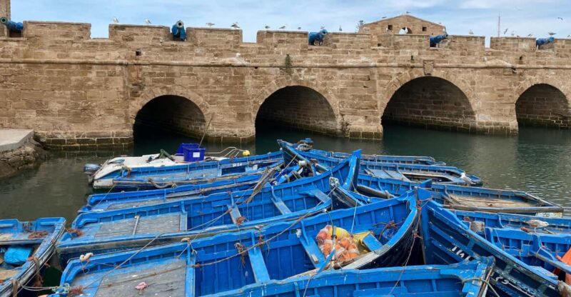 From Marrakech: Essaouira Day Trip With Hotel Pickup - What to Bring