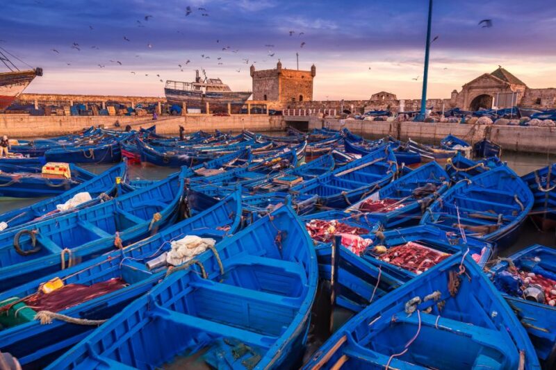 From Marrakech: Essaouira Full-Day Trip - Good To Know