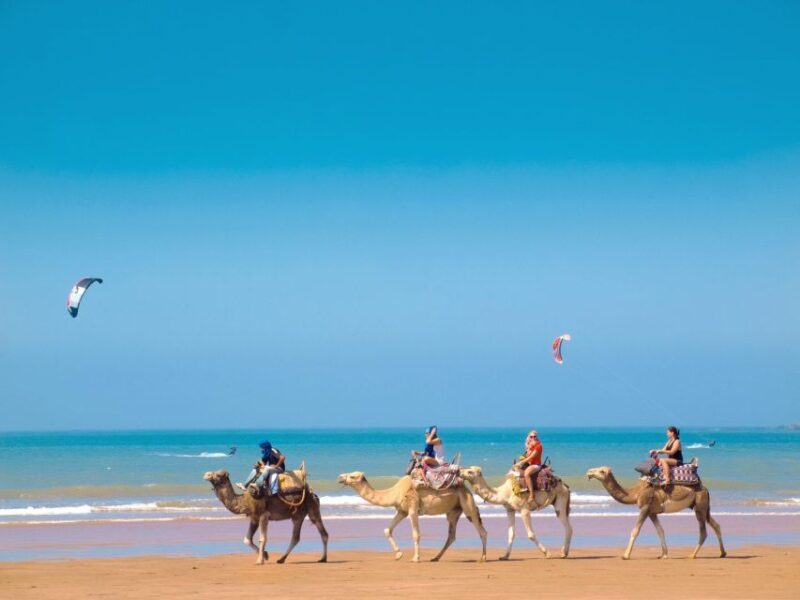 From Marrakech: Essaouira Full-Day Trip - Itinerary and Highlights