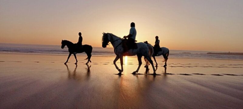From Marrakech: Essaouira Full-Day Trip - Transportation and Group Size