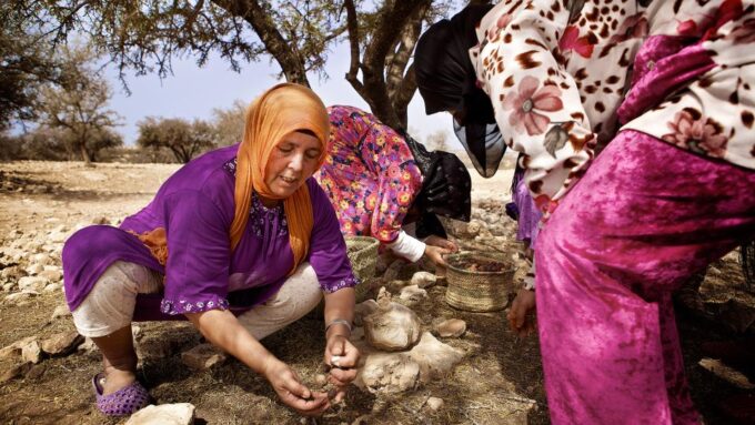 From Marrakech: Essaouira Full-Day Trip - Argan Oil Production Experience