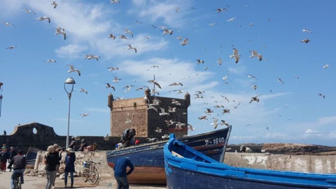 From Marrakech: Essaouira Full-Day Trip - Frequently Asked Questions