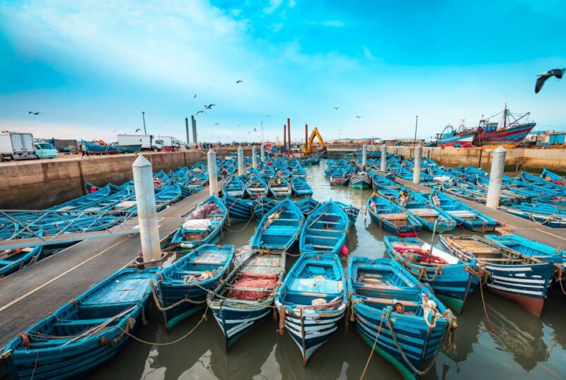 From Marrakech: Essaouira Private Full-Day Trip - Exploring Essaouiras Highlights