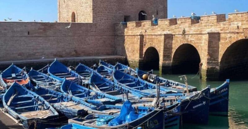From Marrakech: Essaouira Private Full-Day Trip - Highlights and Stops Along the Way