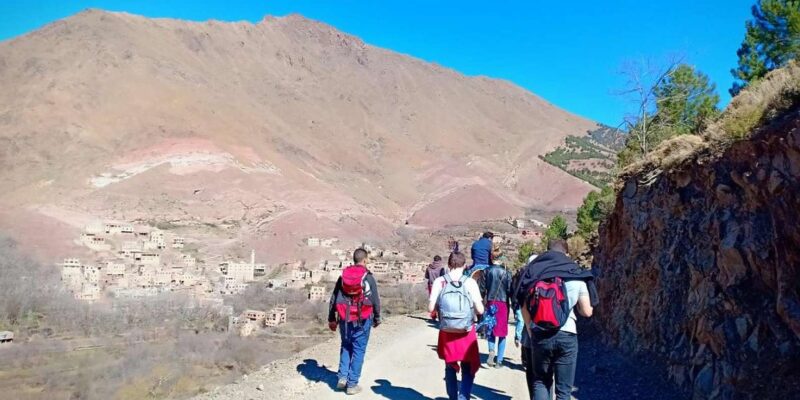 From Marrakech: Family Atlas Mountain Day Trip & Mule Ride - Local Engagement and Cultural Immersion