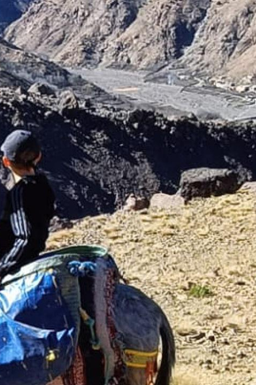From Marrakech: Family Atlas Mountain Day Trip & Mule Ride - Included in the Experience