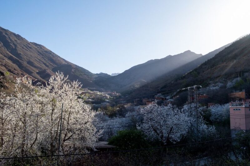 From Marrakech: Family/Friends Day Trip To Atlas Mountains - Good To Know