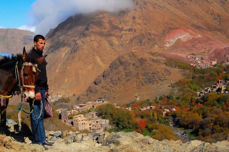 From Marrakech: Full-Day Atlas Mountain Berber Tour - Itinerary Highlights