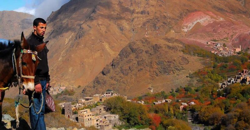 From Marrakech: Full-Day Atlas Mountain Berber Tour - Customer Feedback