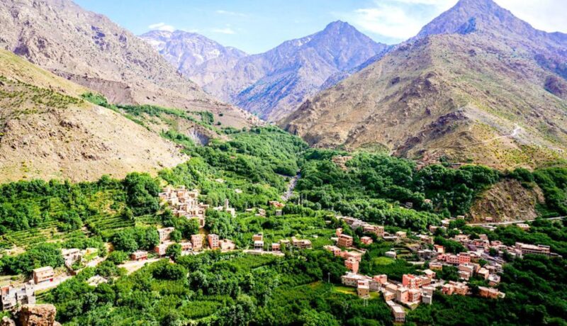 From Marrakech :Full-Day Atlas Mountains and Agafay Desert - Pricing and Inclusions