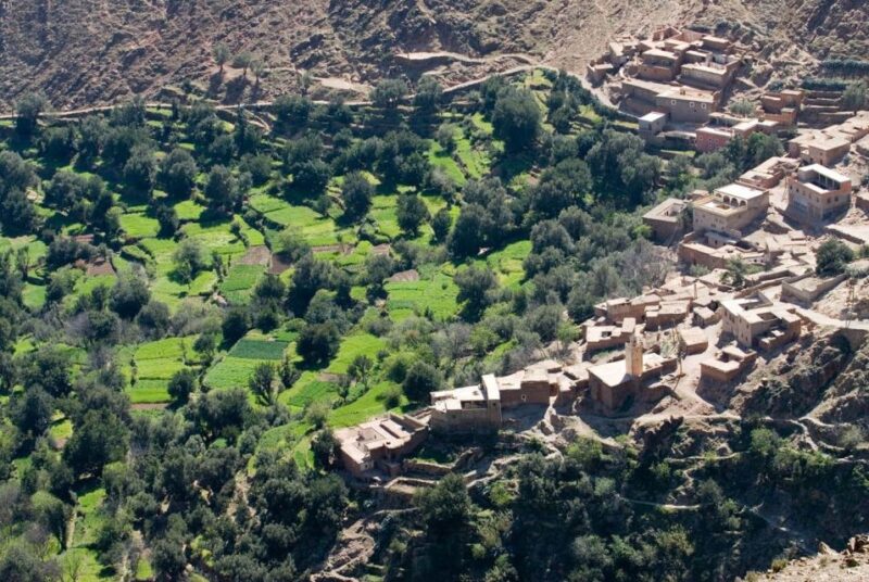 From Marrakech :Full-Day Atlas Mountains and Agafay Desert - Transportation and Logistics