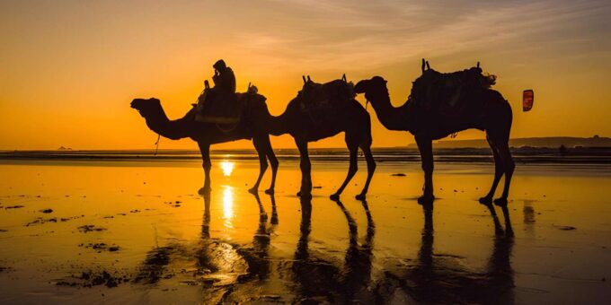 From Marrakech: Full Day Excursion to Agadir - Important Considerations