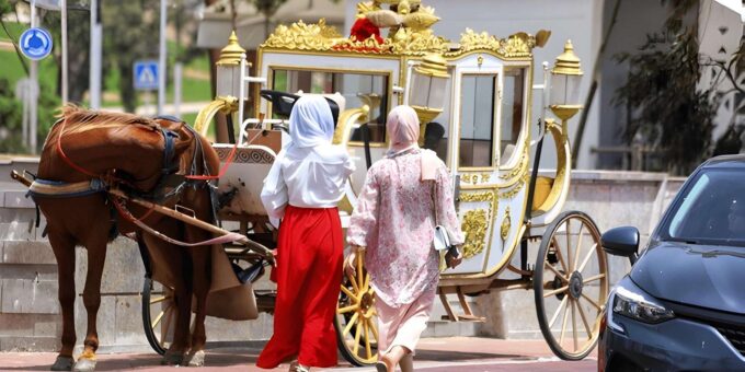From Marrakech: Full Day Excursion to Agadir - Frequently Asked Questions