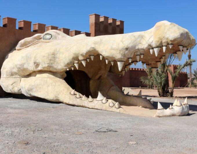 From Marrakech: Full-Day Trip to Agadir - Booking and Pricing