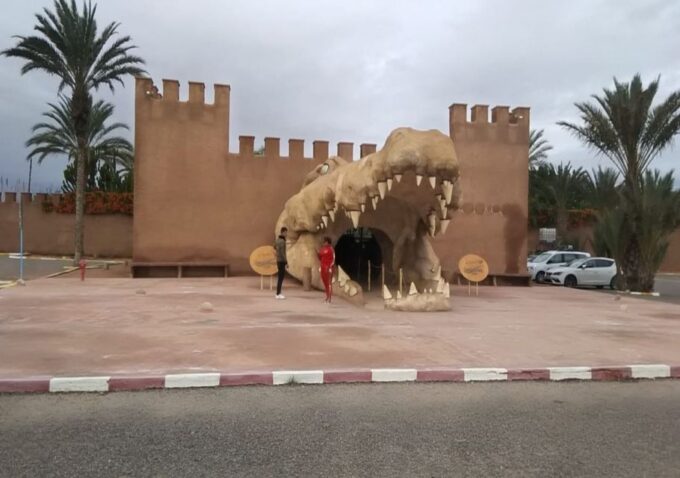 From Marrakech: Full-Day Trip to Agadir - Frequently Asked Questions