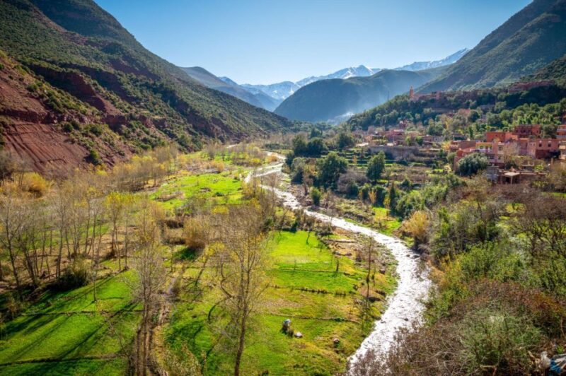 From Marrakech: Guided Full-Day Trip to Ourika Valley - Itinerary Highlights