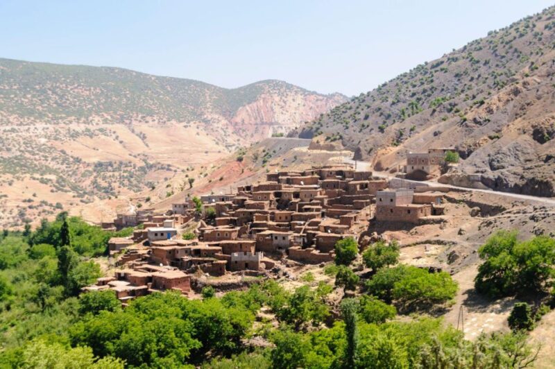 From Marrakech: Guided Full-Day Trip to Ourika Valley - Inclusions