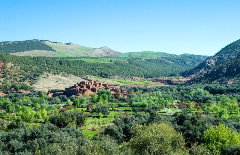 From Marrakech: Guided Full-Day Trip to Ourika Valley - Important Information