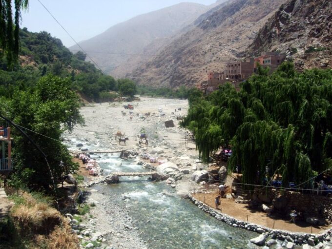 From Marrakech: Guided Full-Day Trip to Ourika Valley - Visiting Berber Family and Argan Oil Association