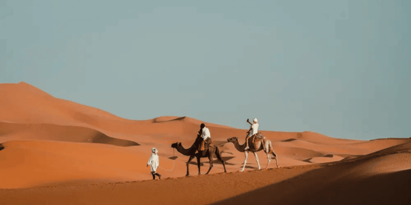 From Marrakech: Magical 3-Day Desert Tour to Fes Via Sahara - Good To Know
