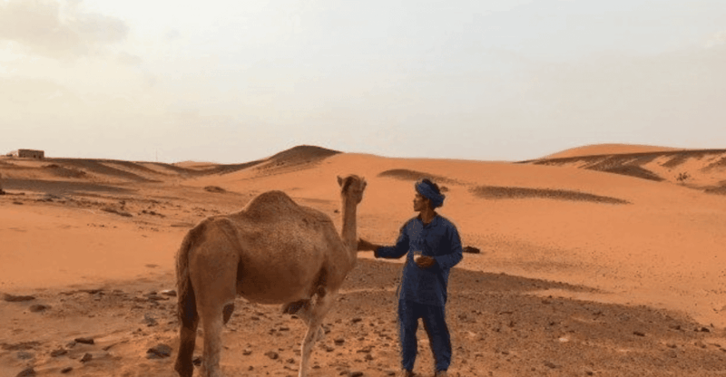 From Marrakech: Magical 3 Day Merzouga Dune Trip to Fes - Overview of the Tour