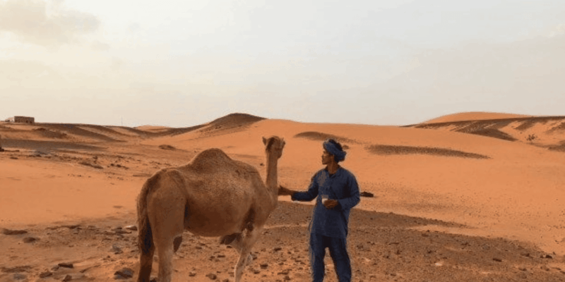 From Marrakech: Magical 3 Day Merzouga Dune Trip to Fes - Exploring Ait Benhaddou