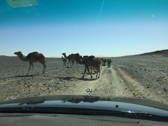 From Marrakech : Merzouga 3 Day Desert Tour With Camel Ride - Crossing the Tizi Ntichka Pass