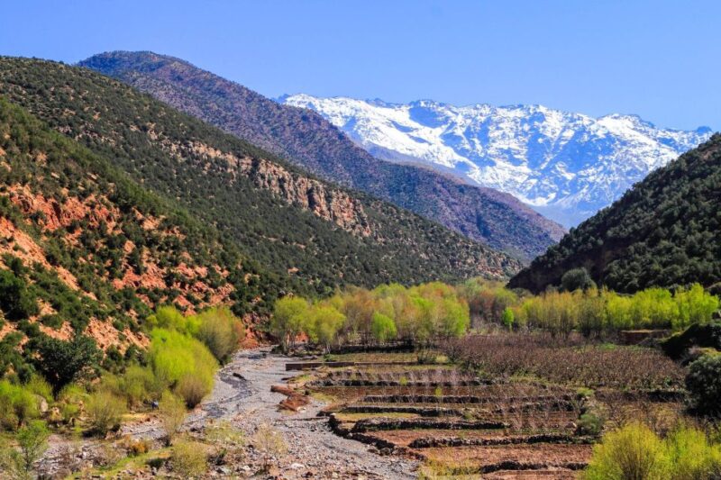 From Marrakech: Ourika Valley Day Trip - Scenic Drive to Ourika Valley