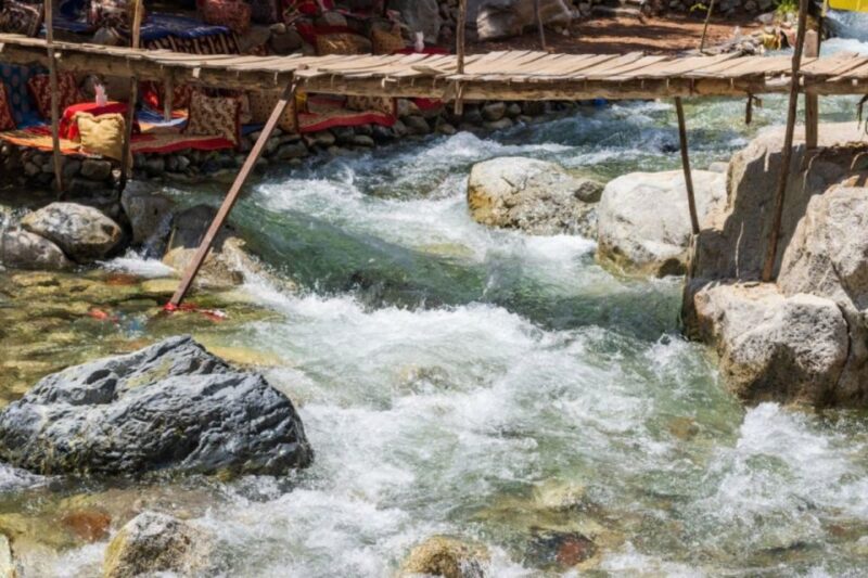 From Marrakech: Ourika Valley Day Trip - Free Time in Ourika Valley