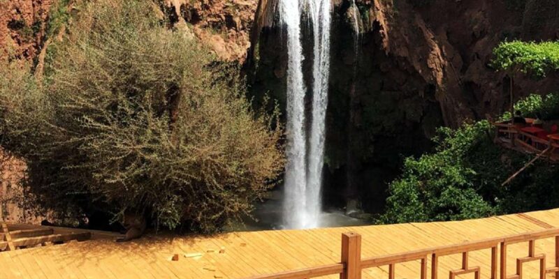 From Marrakech: Ouzoud Waterfalls Day Trip With Local Guide - Guided Tour and Activities