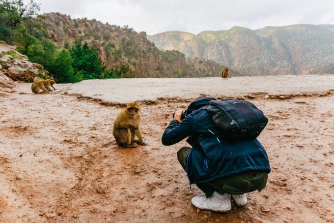 From Marrakech: Ouzoud Waterfalls Guided Hike and Boat Trip - Customer Feedback